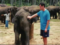 Pinnawala Elephant Orphanage in Sri Lanka