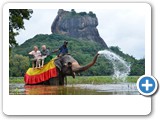 Sigiriya - 8 th wonder of the world (4)